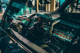 ac米兰体育官网-世界高速滑轮挑战赛中国少年展现实力，世界滑轮比赛视频